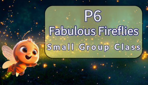 P6 Fabulous Fireflies 