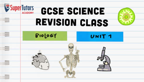 GCSE CCEA UNIT 1 BIOLOGY : Double Award & Triple/Separate Sciences